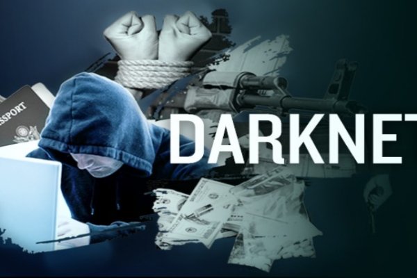 Kraken online