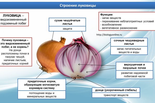 Регистрация кракен