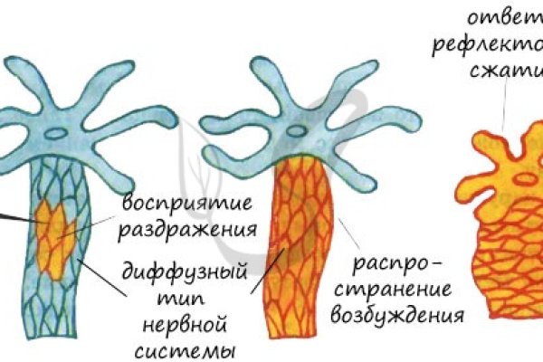 Kra22.cc