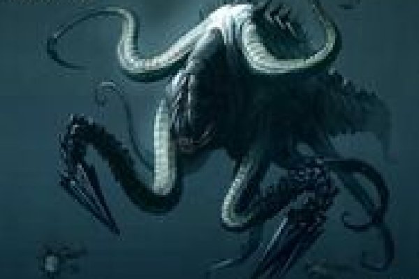 Kraken tor link